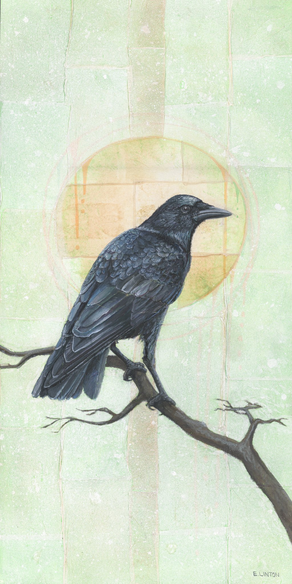 American Crow Green PRT.jpg