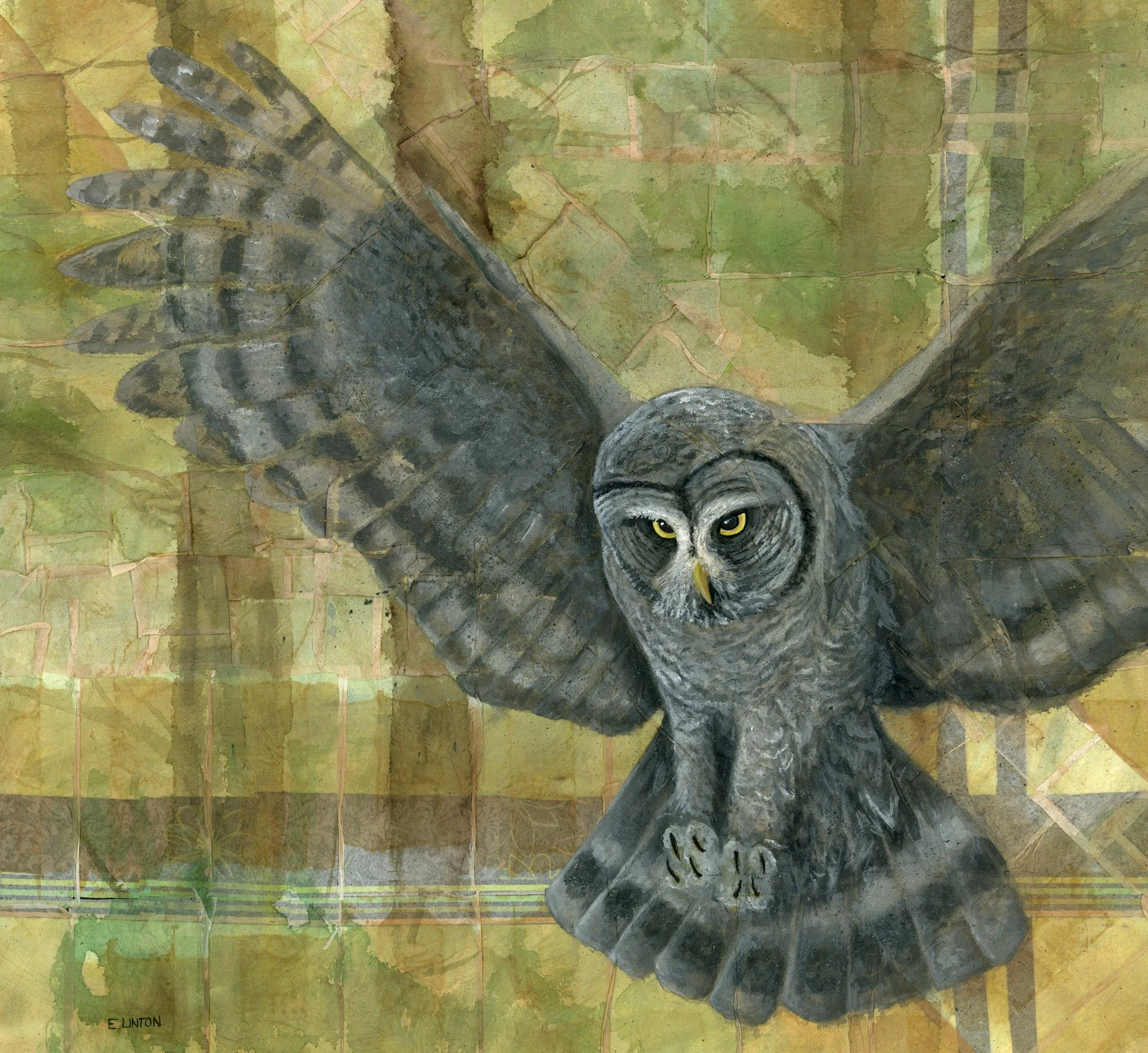 Great Grey Owl PRT.jpg