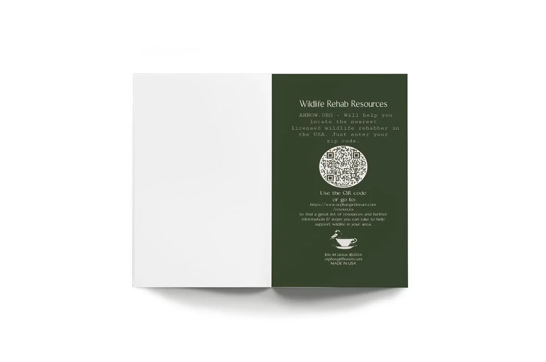 mockup-1.jpg