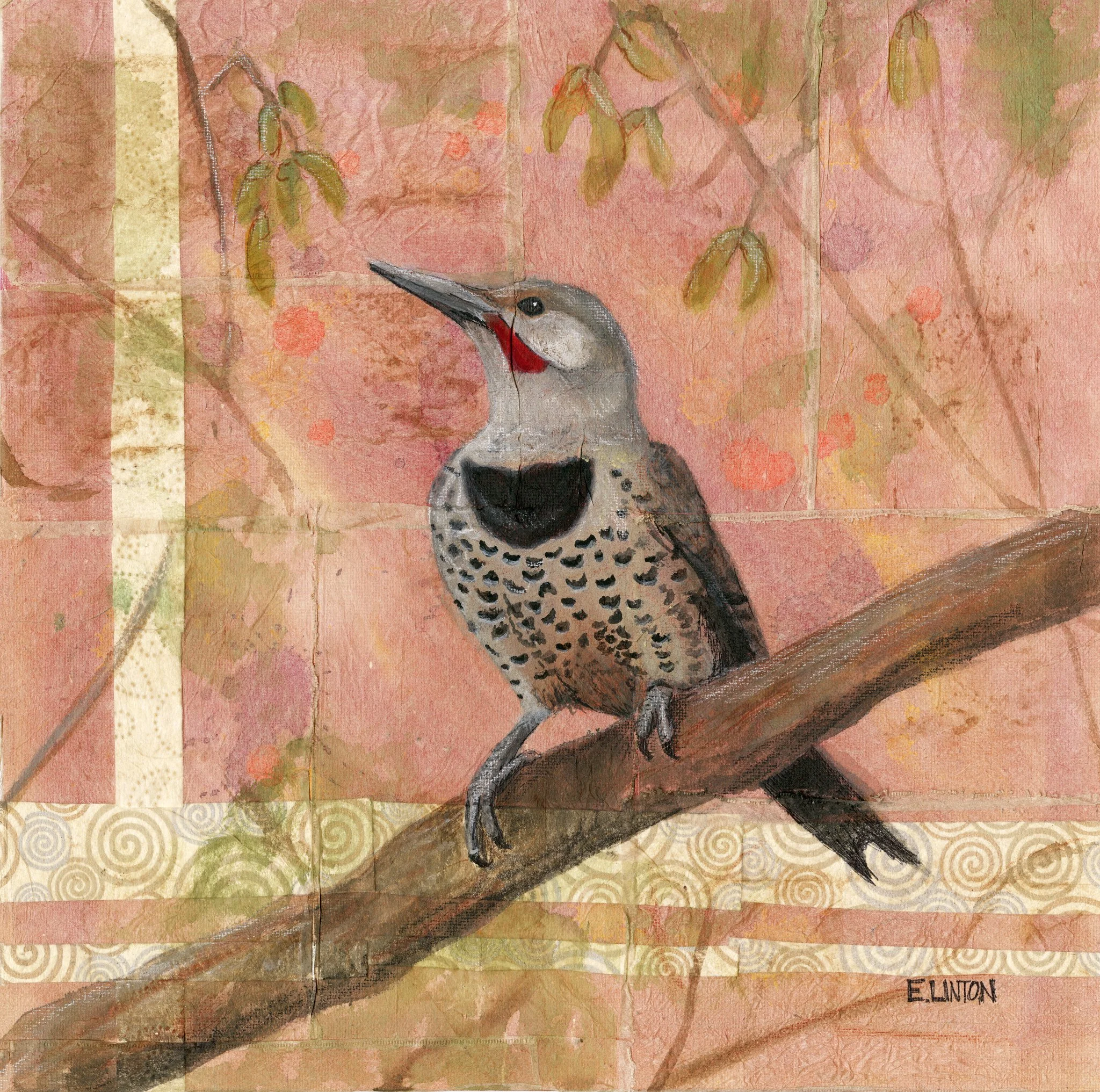 Northern Flicker FULL PRT.jpg
