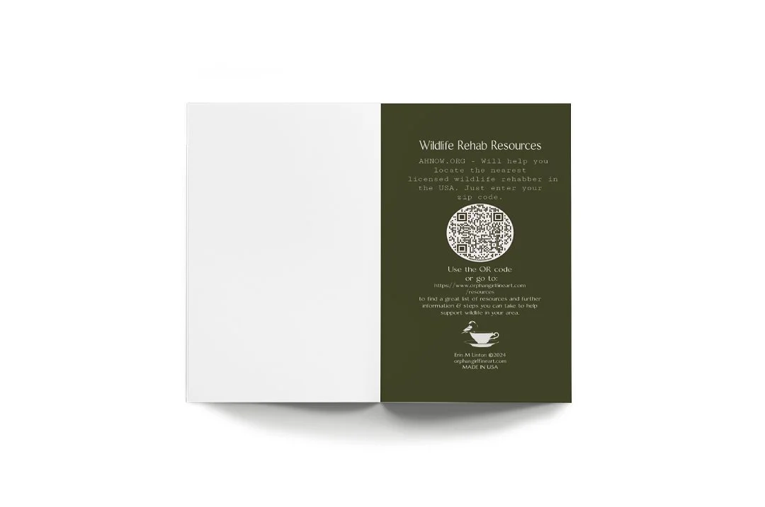 mockup-1.jpg