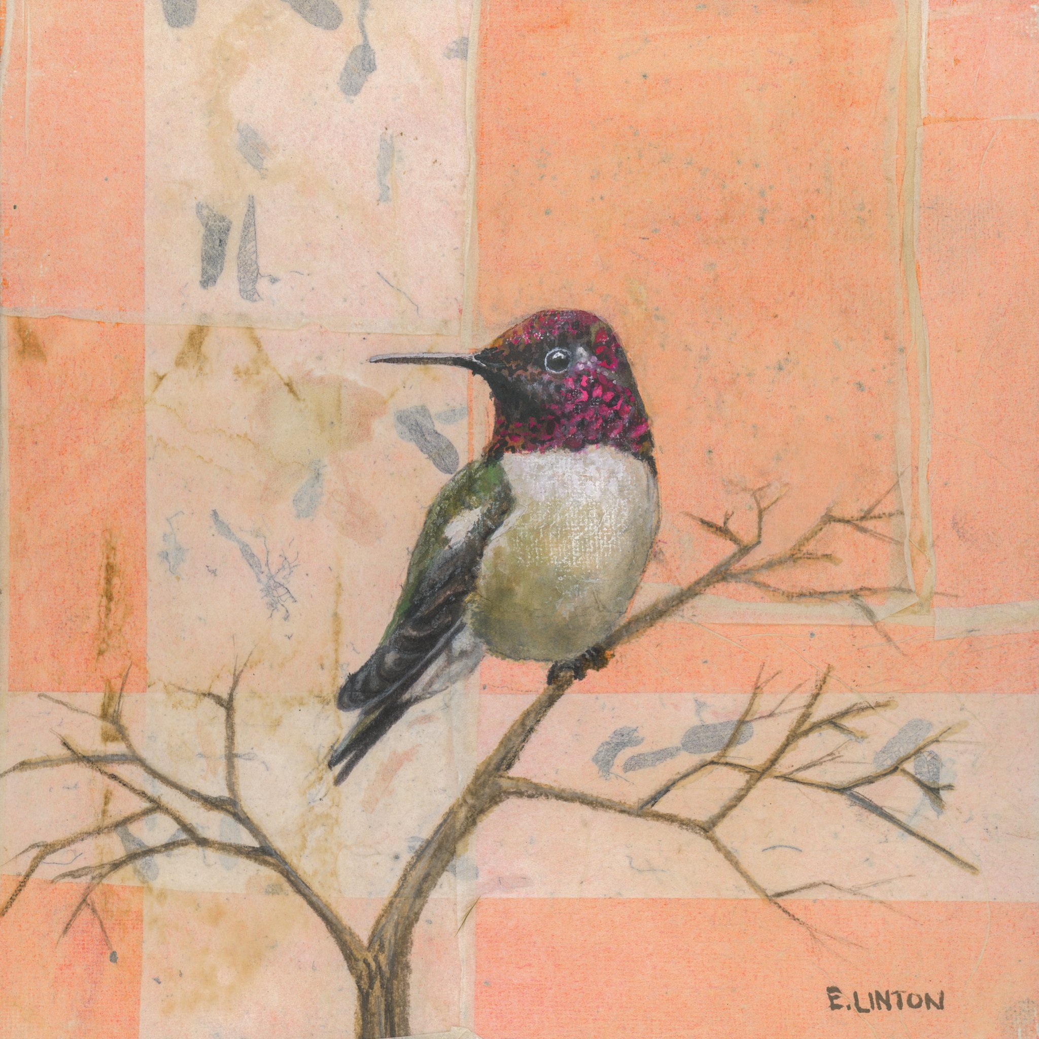 Anna's Hummingbird Orange PRT.jpg