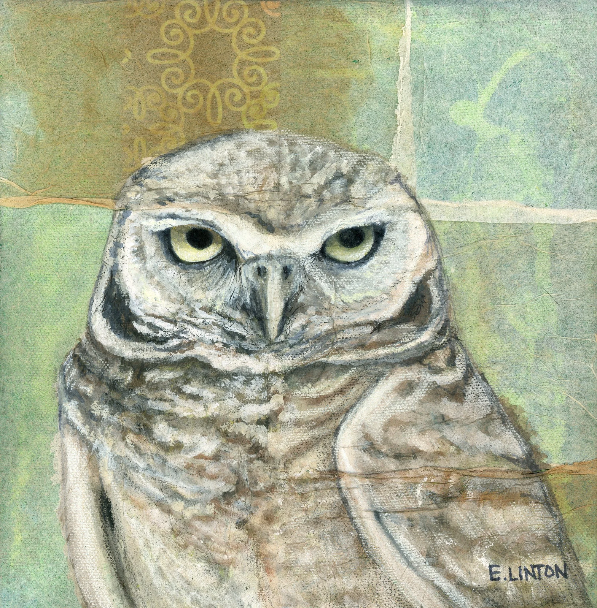 Burrowing Owl PRT .jpg