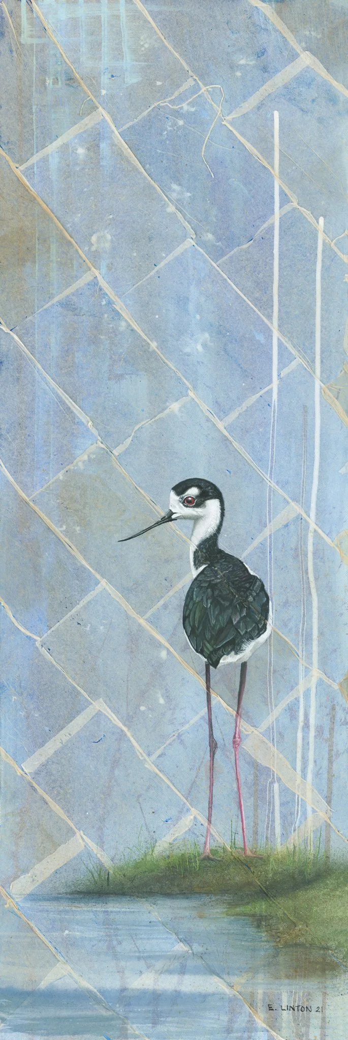 Black Necked Stilt PRT.jpg (Copy) (Copy)