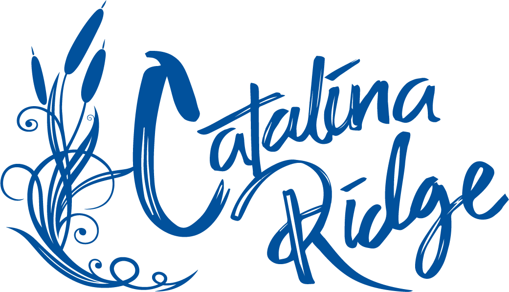 Catalina Ridge Logo@3x.png