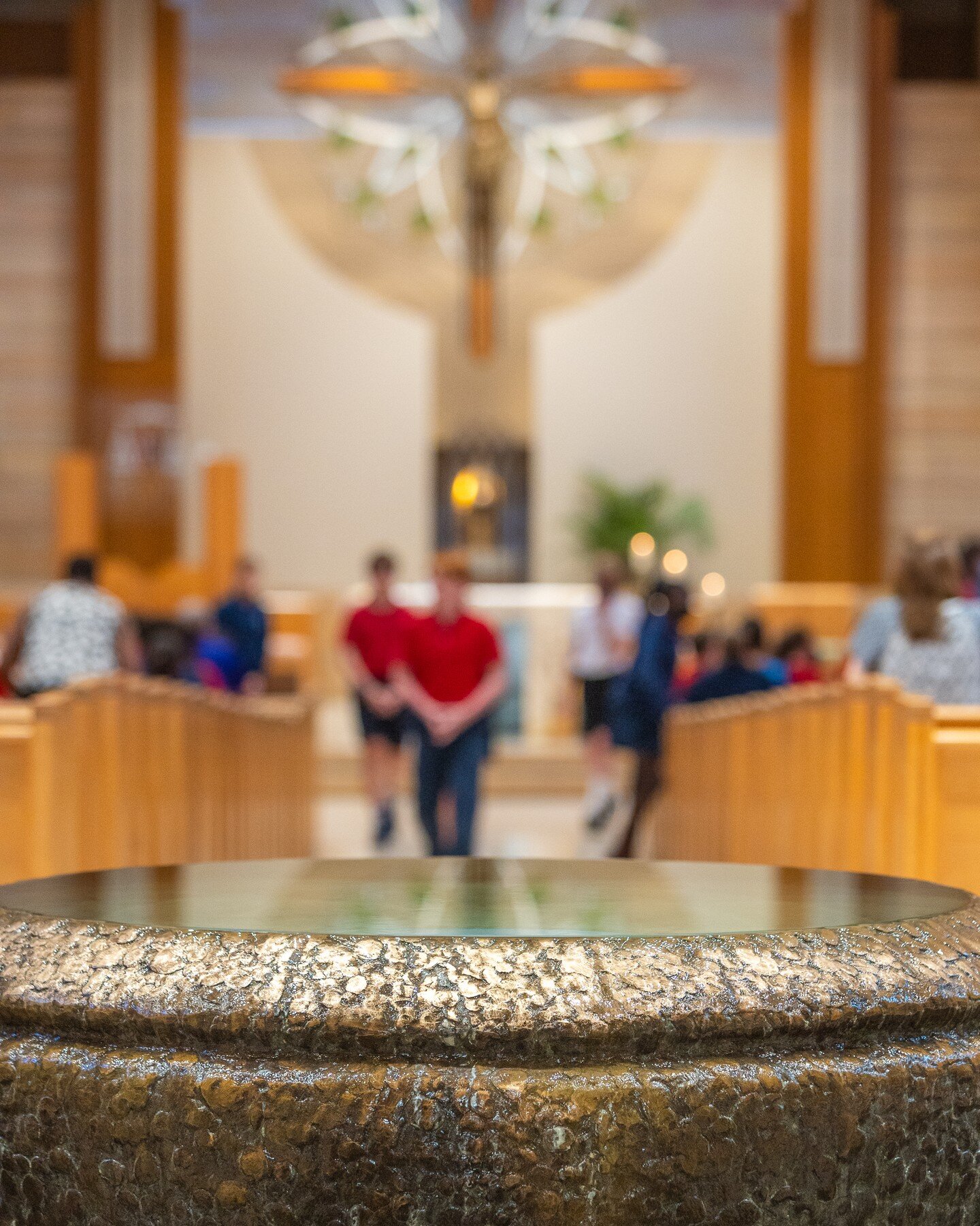 📸✨ Capturing Moments of Reflection: A Glimpse into the Rochester Catholic System 🙏🏼📷

Near and dear to me was being asked to capture a Catholic Mass. Reflecting back on my childhood with Wednesday masses said in Latin I am in awe today. 

In the 