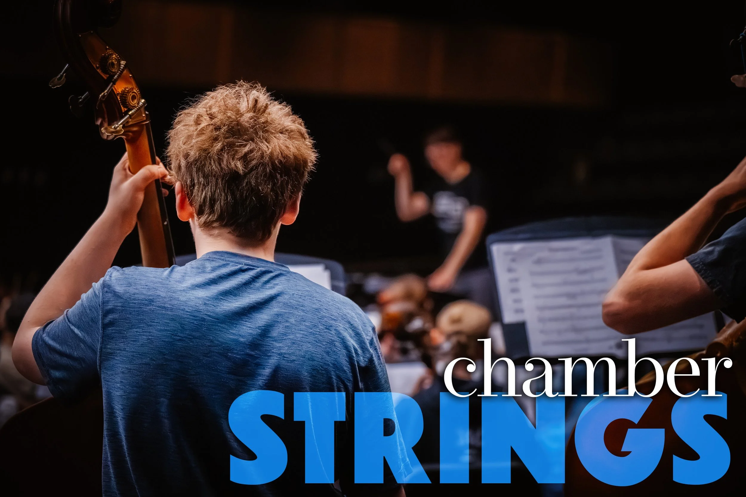 SEMYO Chamber Strings