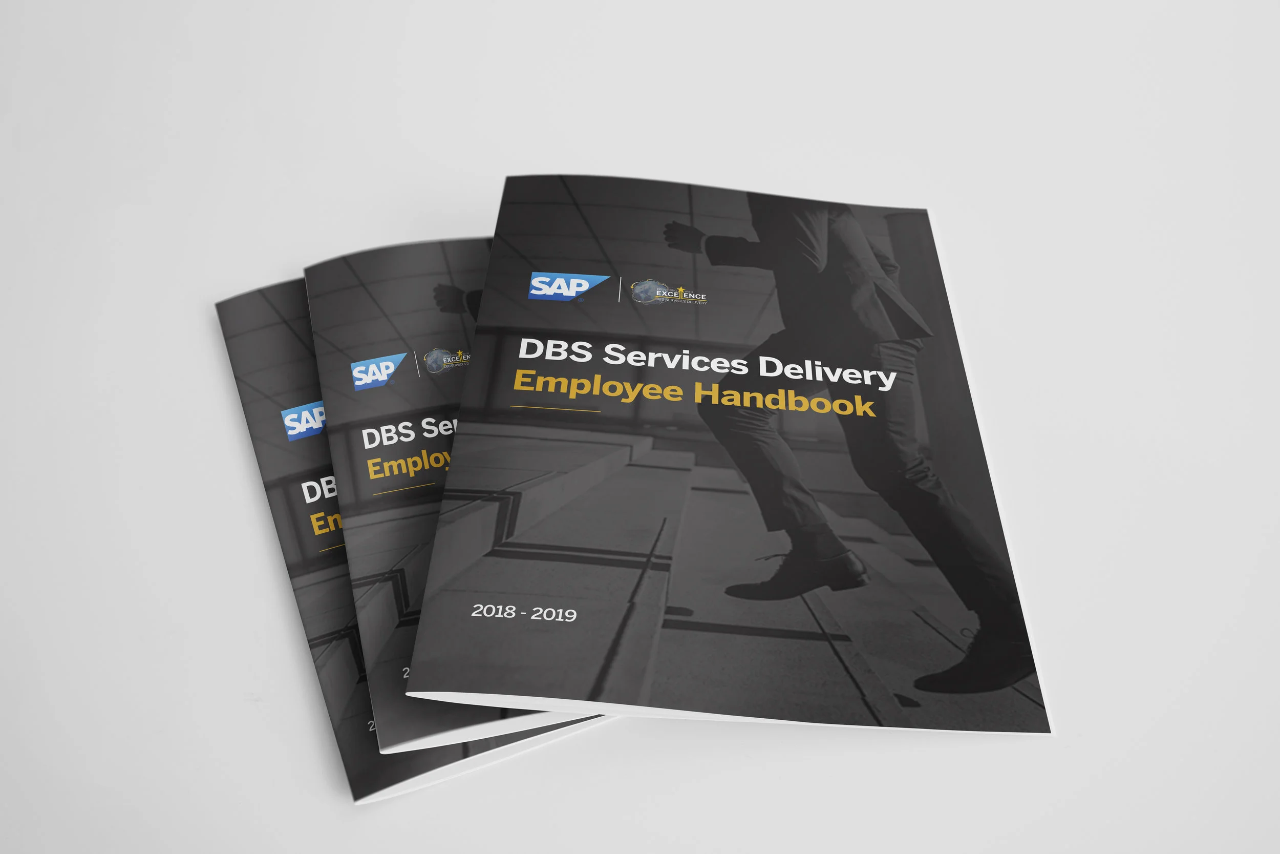 DBS Handbook Cover.jpg