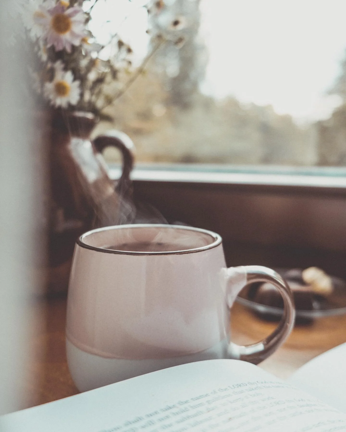 W A R M T H

One of the qualities I strive to emulate and embody as a Clinical Psychologist is warmth. 
Warmth can mean a few different things, but I enjoy the definition that broadly encompasses the characteristics of  helpfulness, trustworthiness a