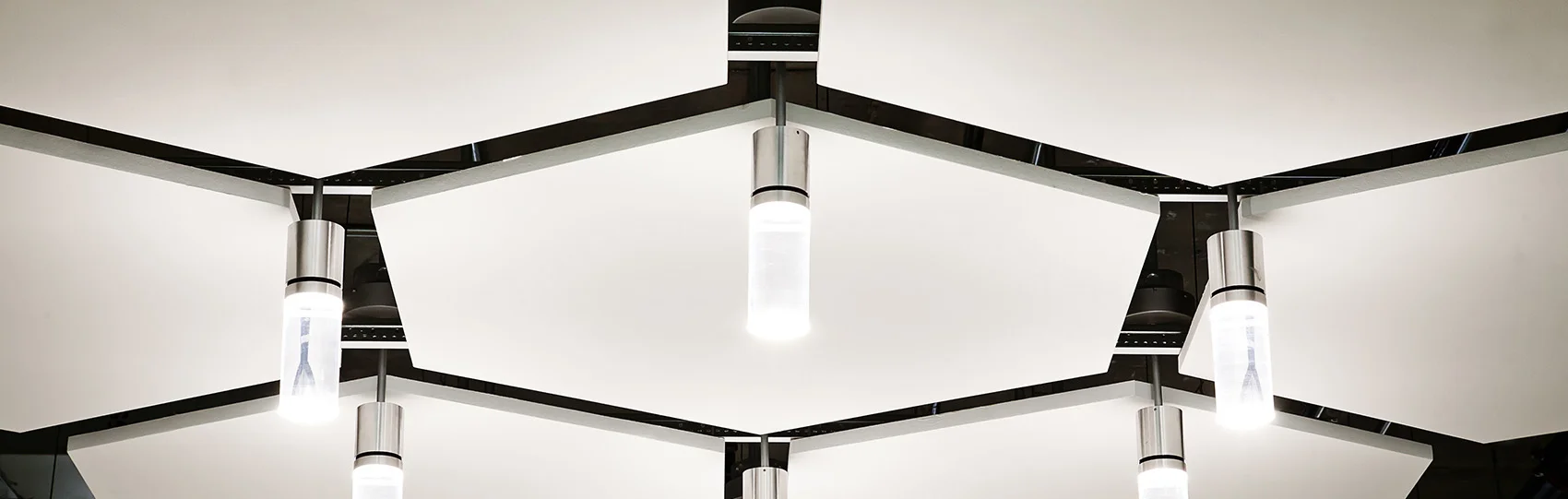 Netchex_Greenleaf Lawson Architects.jpg