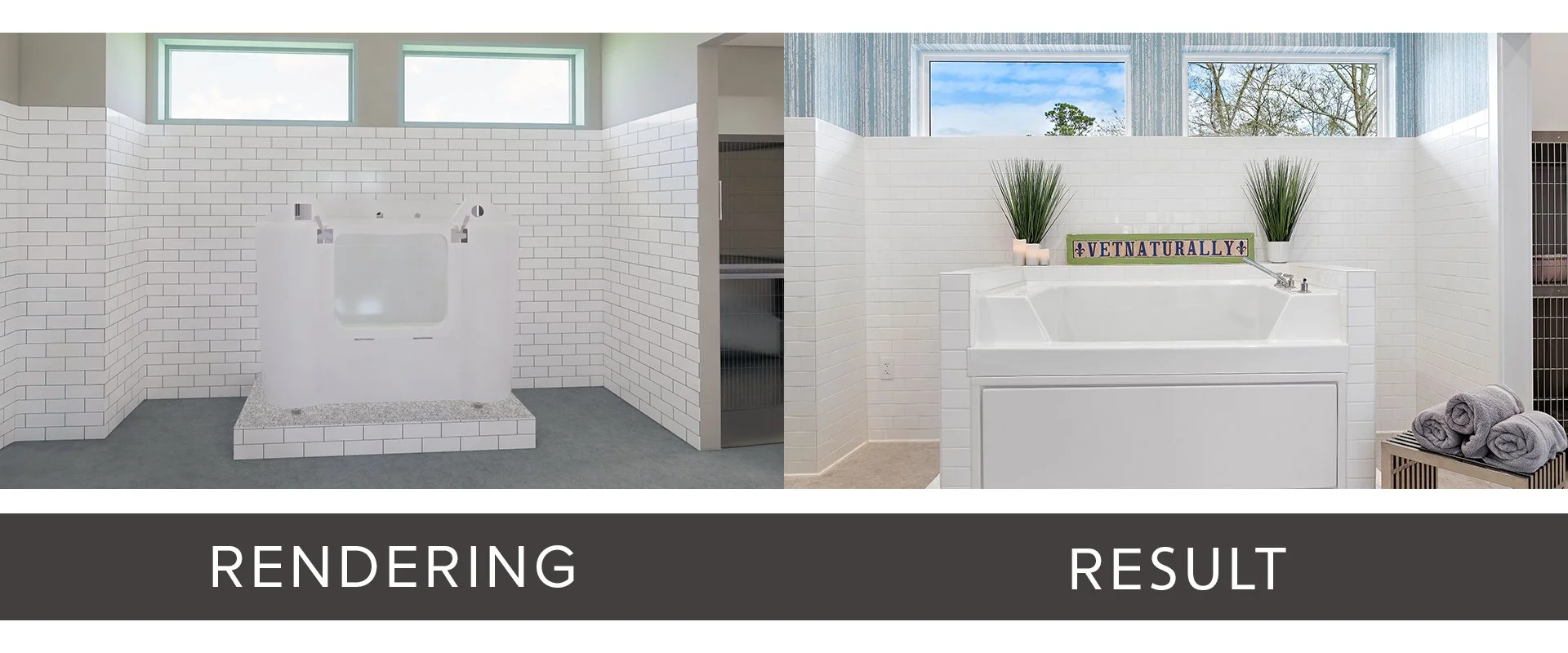 VETNATURALLY Render vs Result - Website Template 3.jpg
