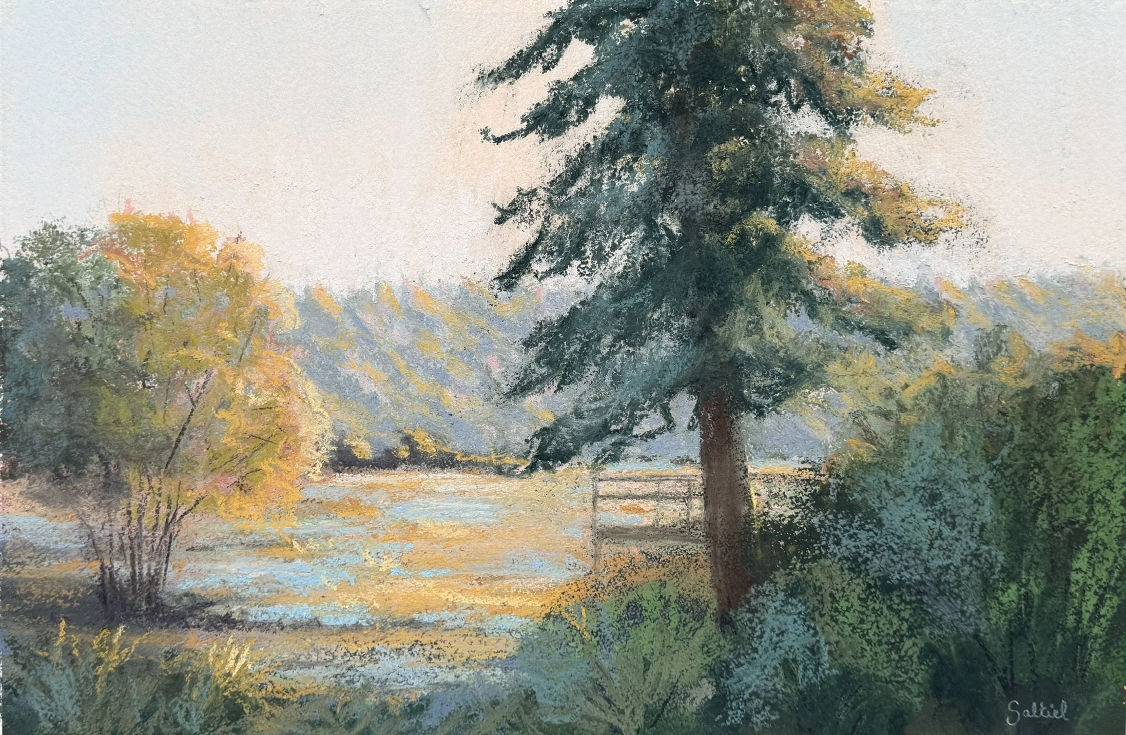 Autumn At Nisqually Look Out