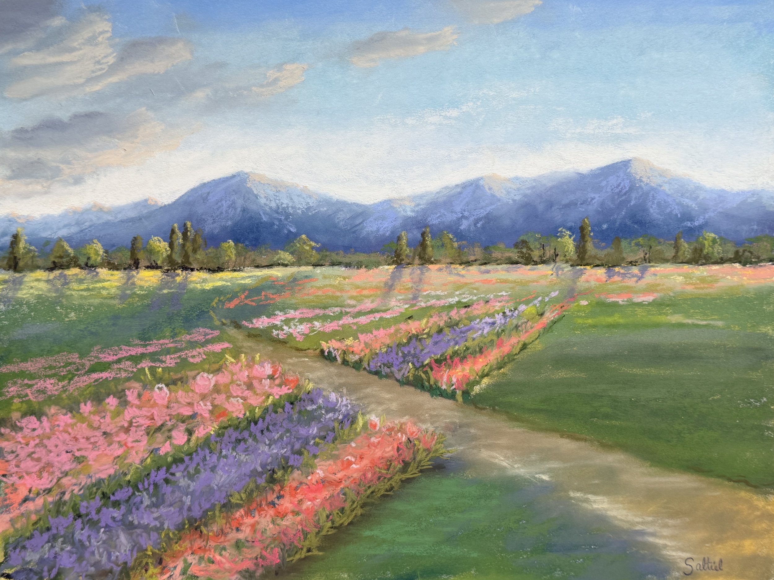 Roozengard Tulips #2