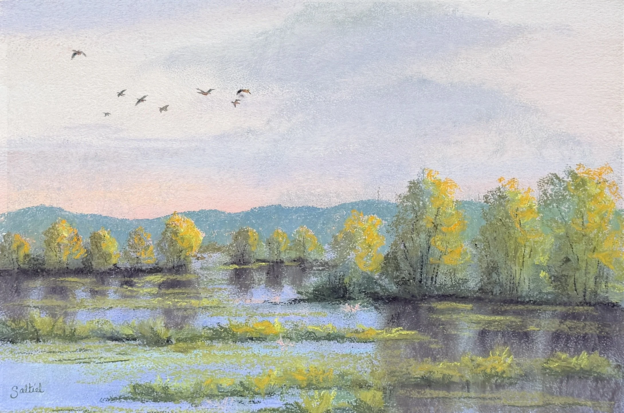 Nisqually Refuge -Sunrise #2