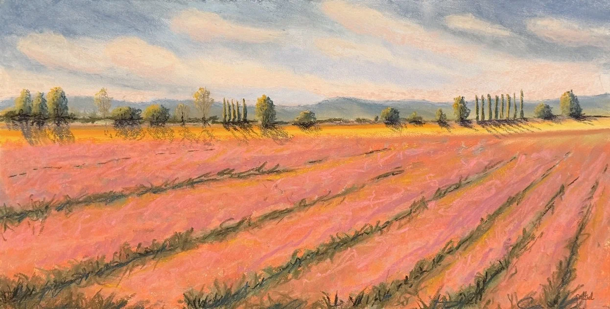 Roozengard Tulips #5