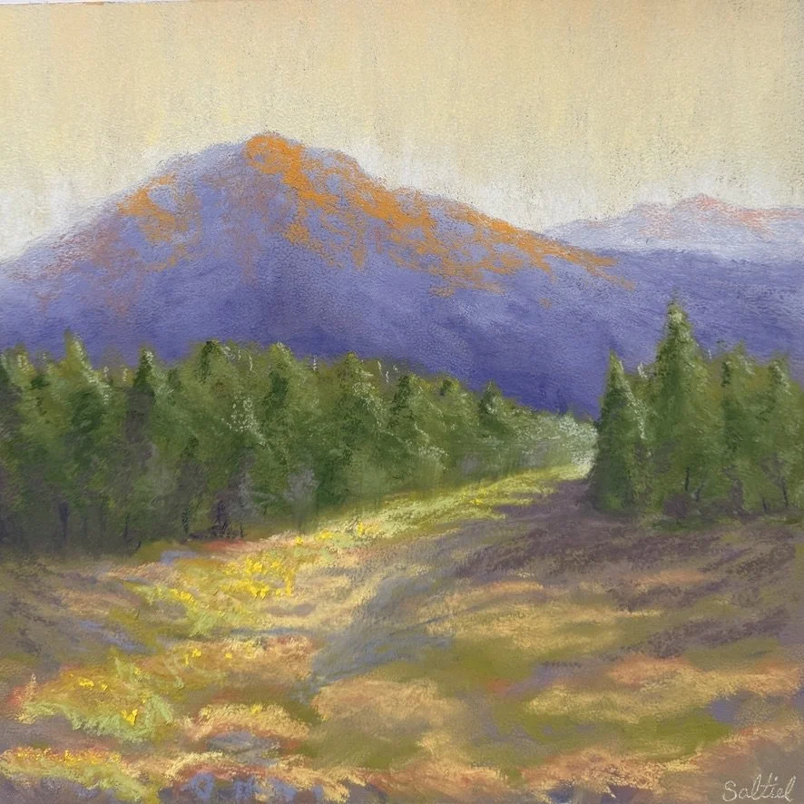 Mt. Rainer Paradise Meadows #1