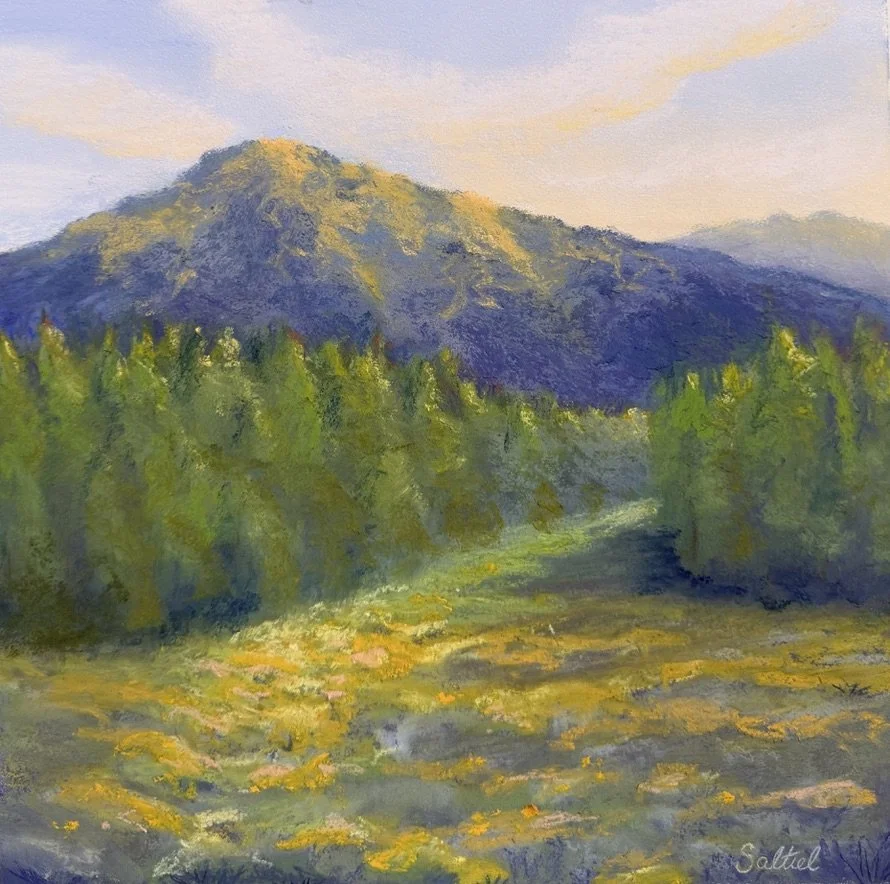 Mt. Rainer Paradise Meadows #2