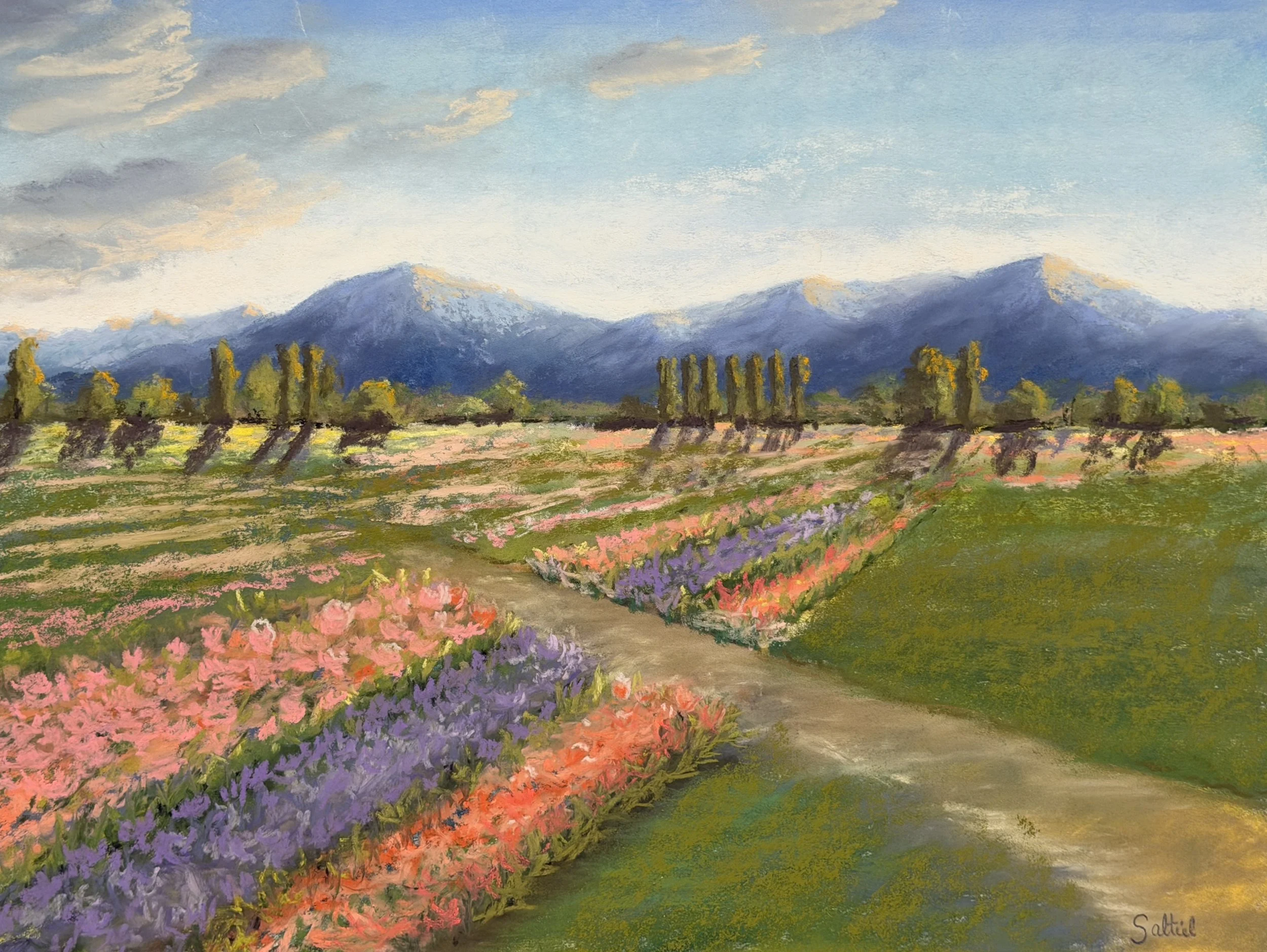 Roozengard Tulips #2