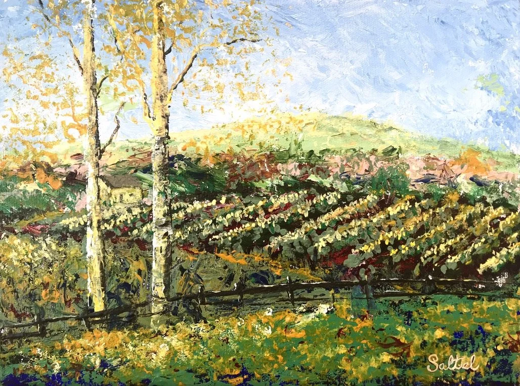 Vinyards of Eastern Washington