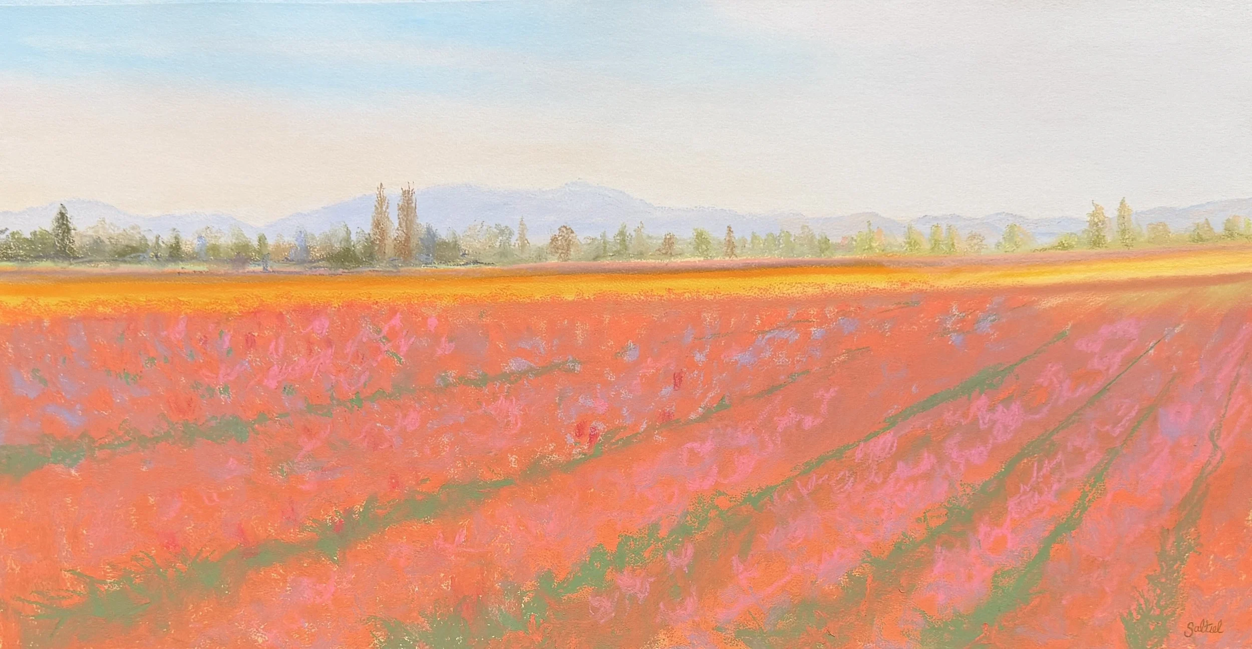 Roozengard Tulips #5