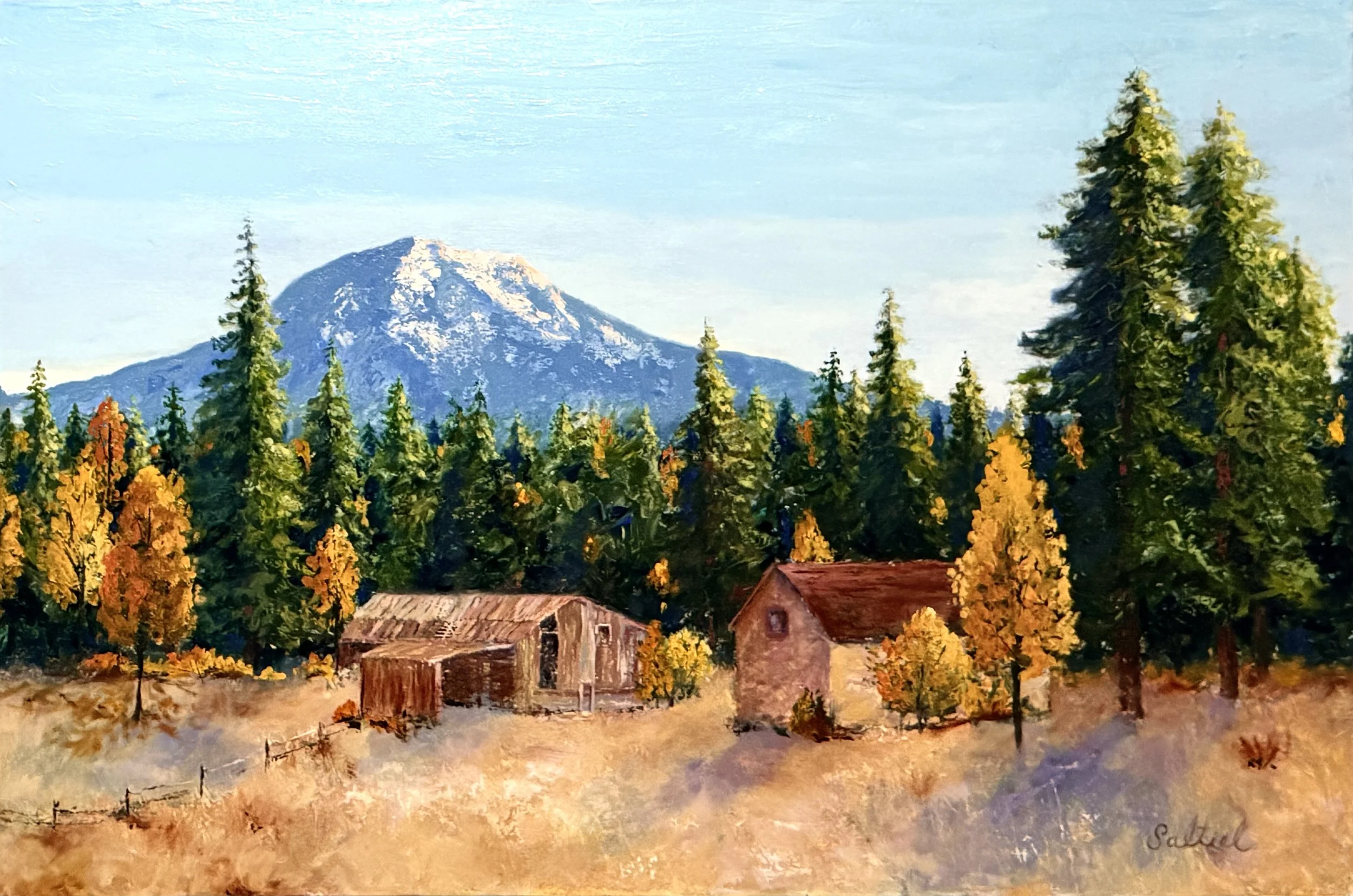 Old Homestead - Cle Elum