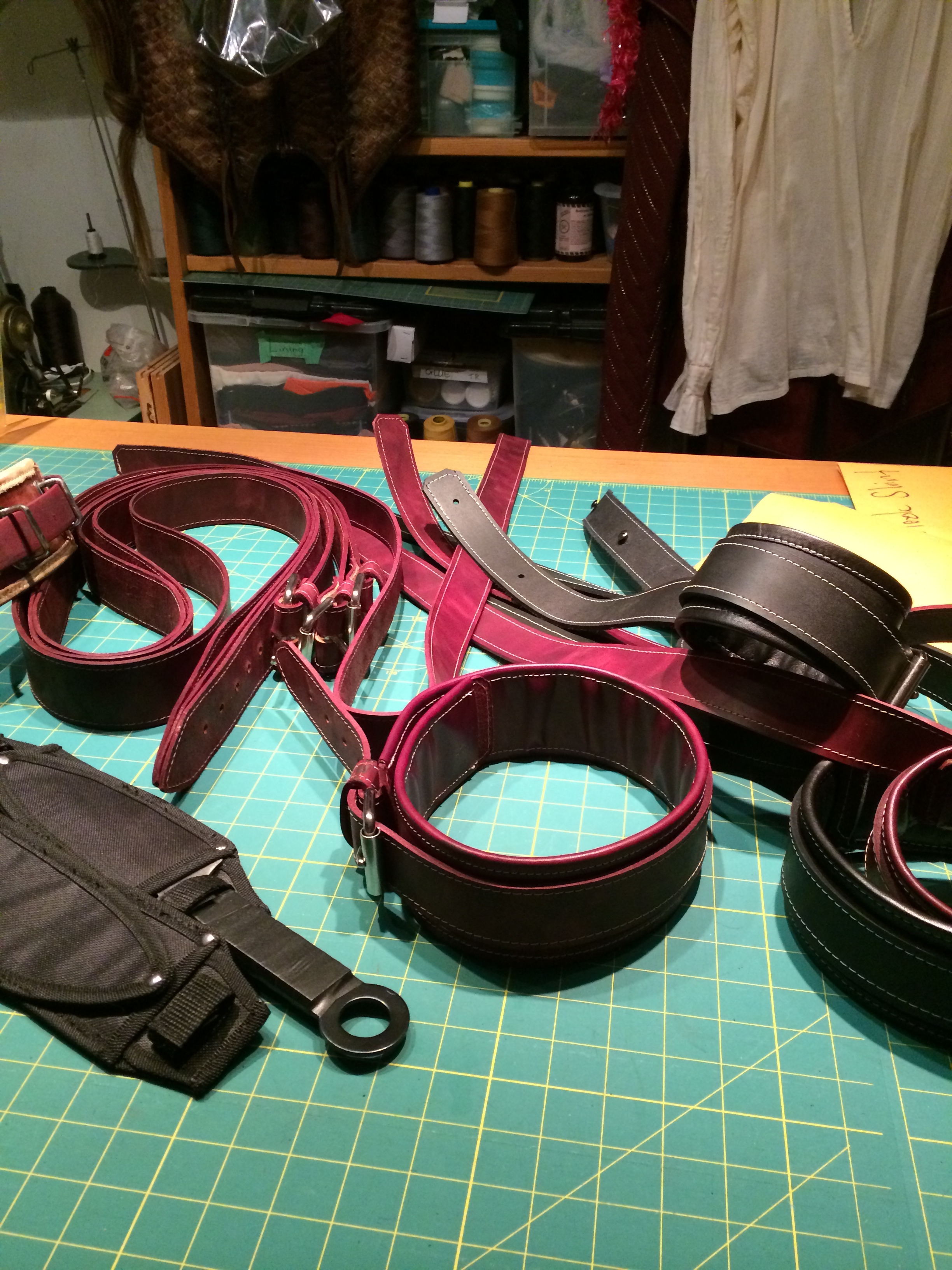 Leather Restraints