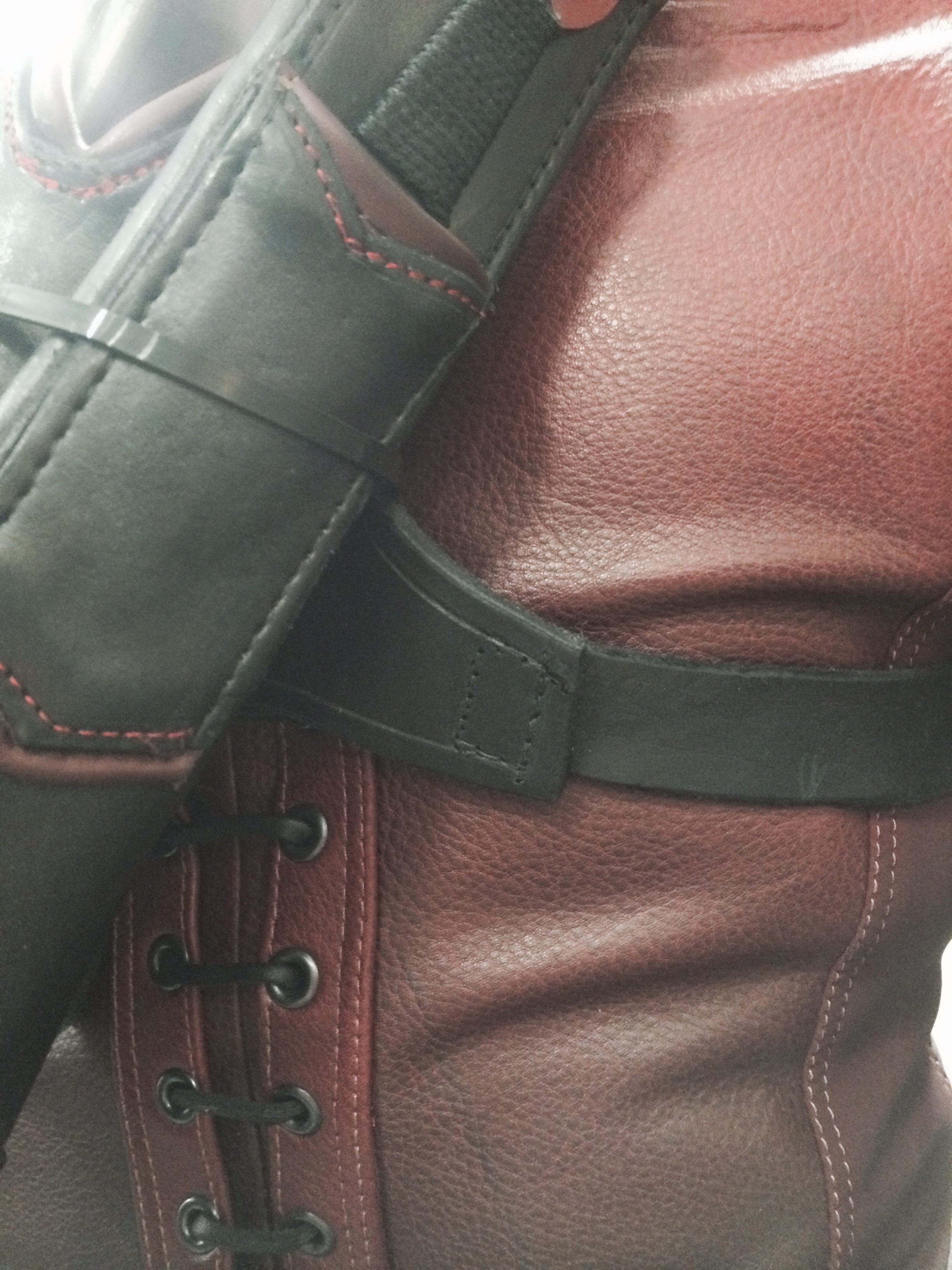 Speedy - Quiver Harness