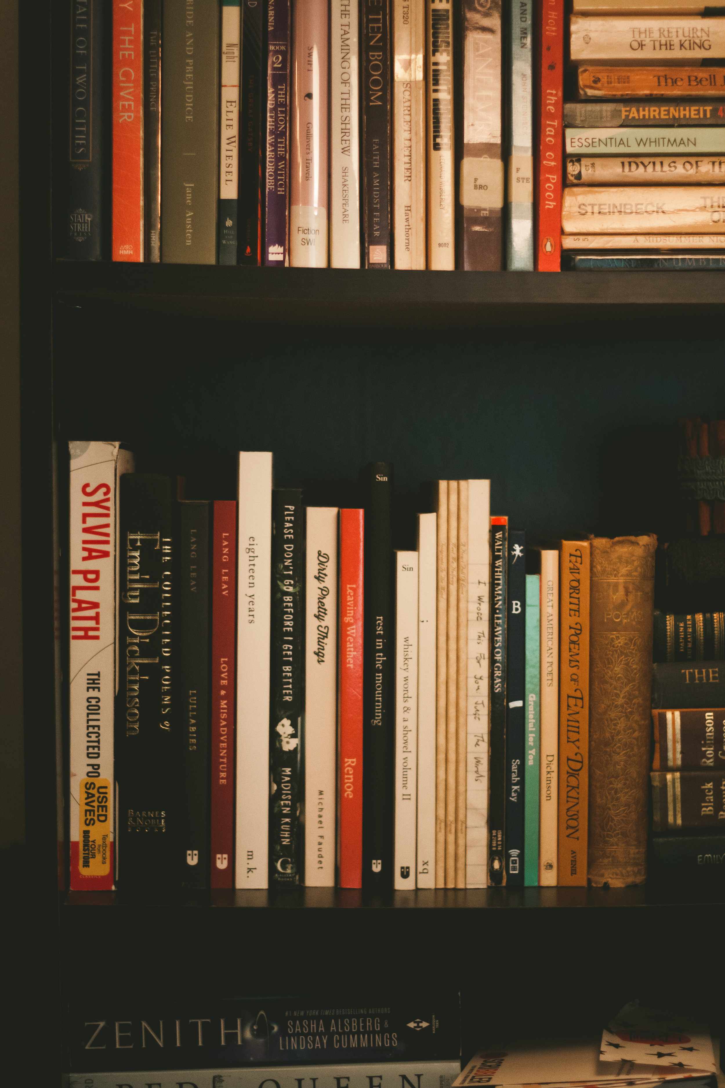 Create a Poem in Voice Workshop