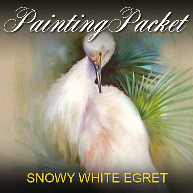 Snowy White Egret Painting Pack Gary Kathwren Jenkins Painting With Passion
