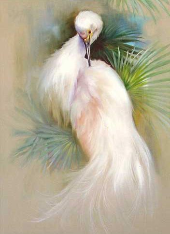 Snowy White Egret Painting Pack Gary Kathwren Jenkins Painting With Passion