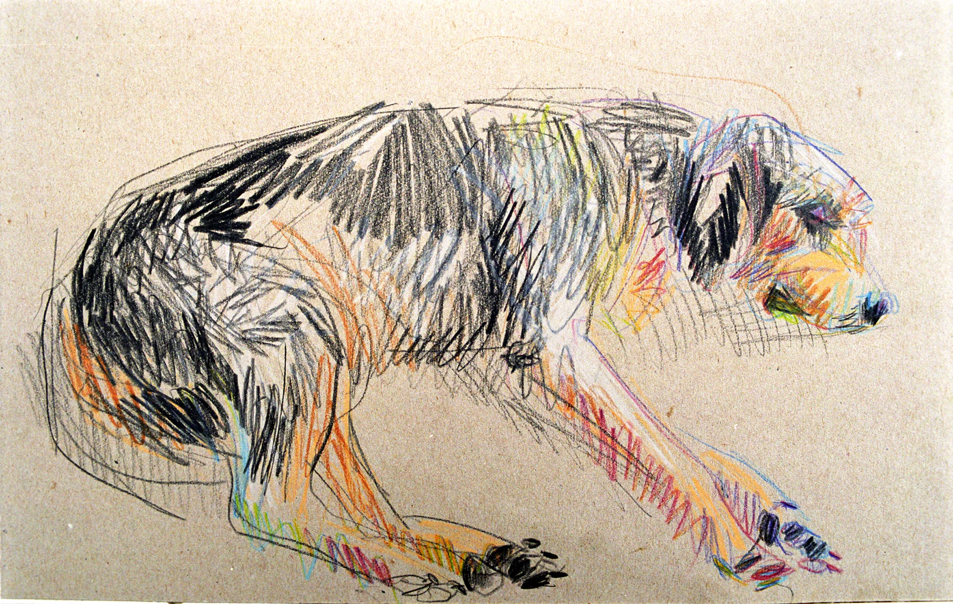 Web_5.109 aquarell hundl.jpg
