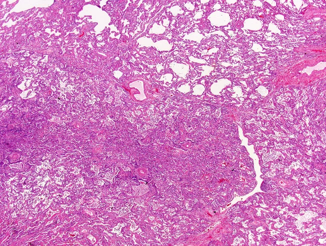 Figure 01.jpg