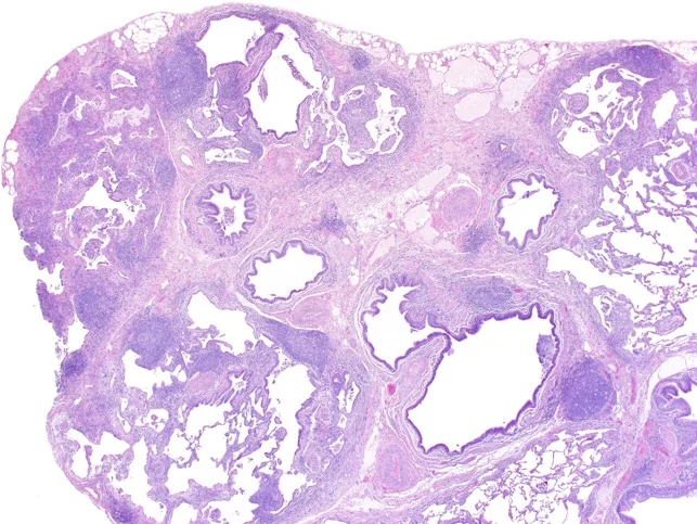 sam honeycomb copy.JPG