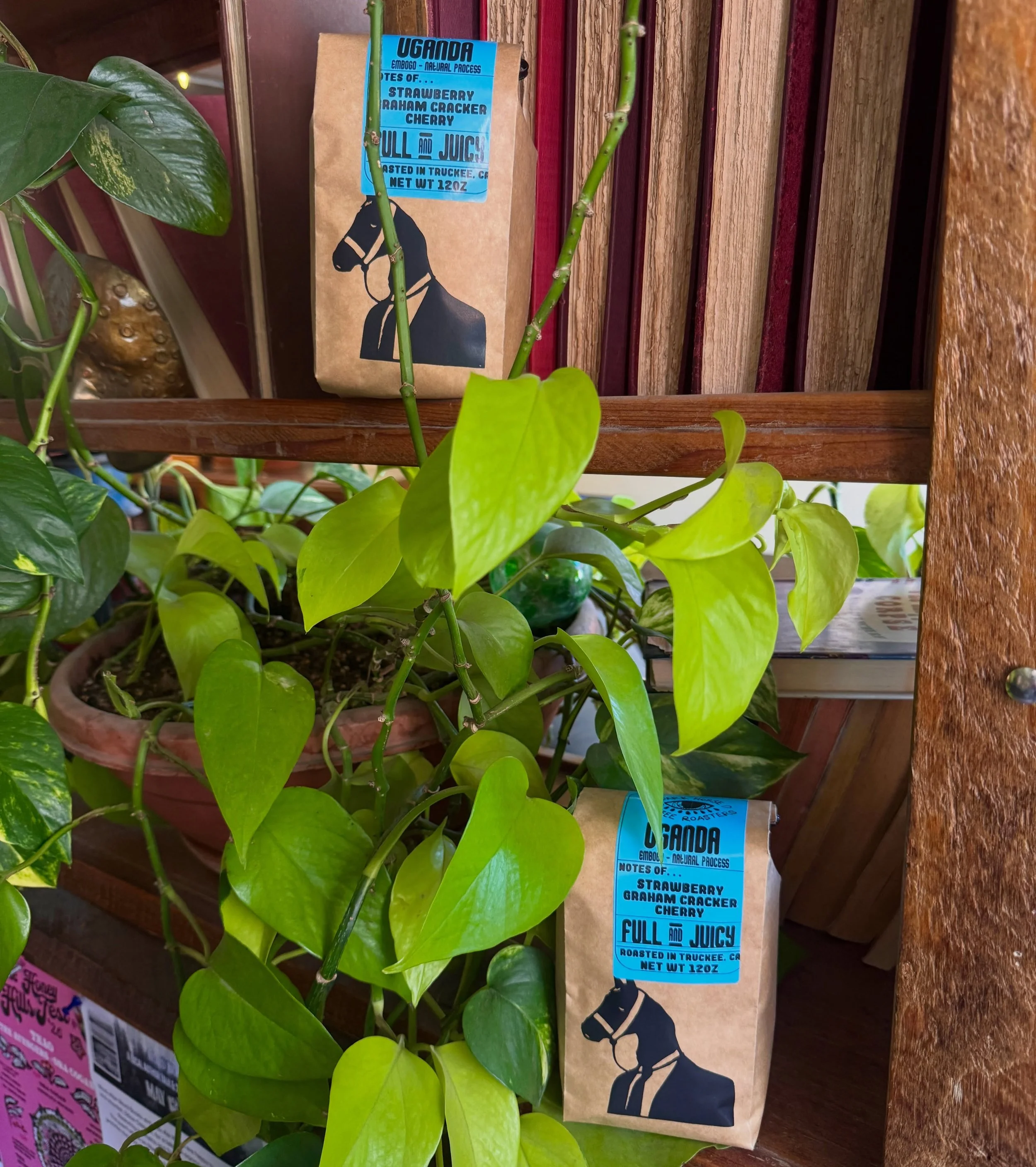 New natural process Embogo Uganda has hit the shelves! 
Notes of: strawberry, graham cracker, cherry 
Come try a bag! 🇺🇬☕️💙

#coffee #truckee #explore #coffeeroaster #new