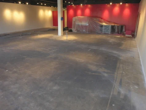 Soccer Madness Stained Concrete Flooring Photos Premier Veneers