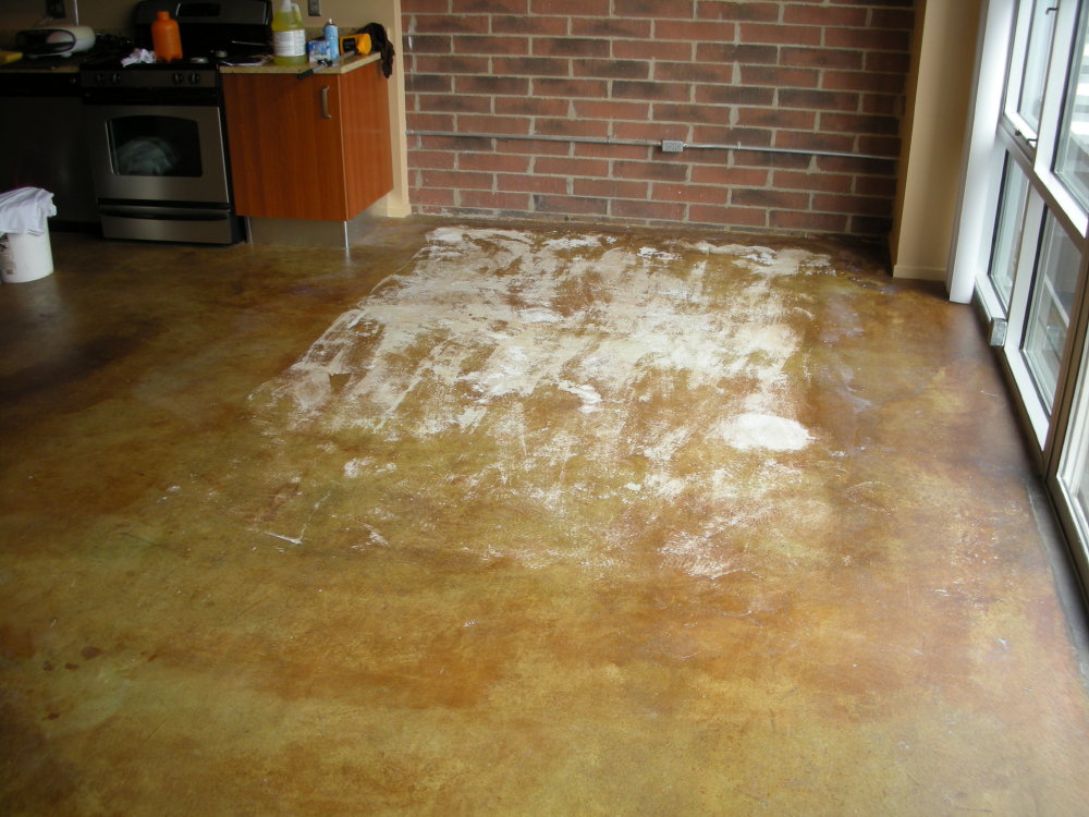 Stained Concrete Contractor