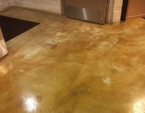 Removing Carpet Glue Before Acid, How To Remove Glue From Concrete Floor After Removing Hardwood
