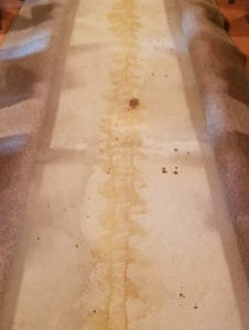 Removing Carpet Glue Before Acid Staining Premier Veneers