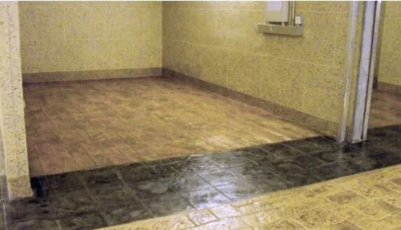 Acid-Stained Decorative Concrete.JPG