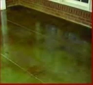 Green and Brown 2.JPG