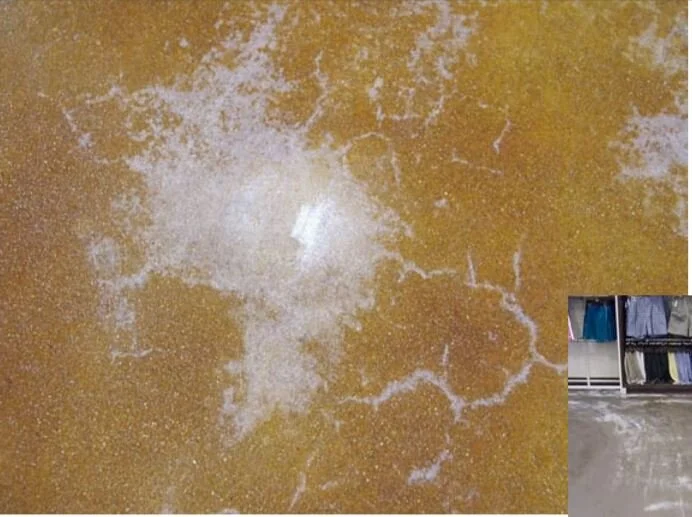 Moisture Sealer Problems.JPG