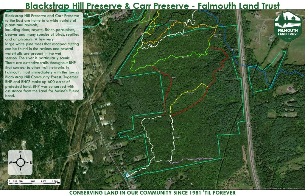 Blackstrap Hill Preserve — Falmouth Land Trust