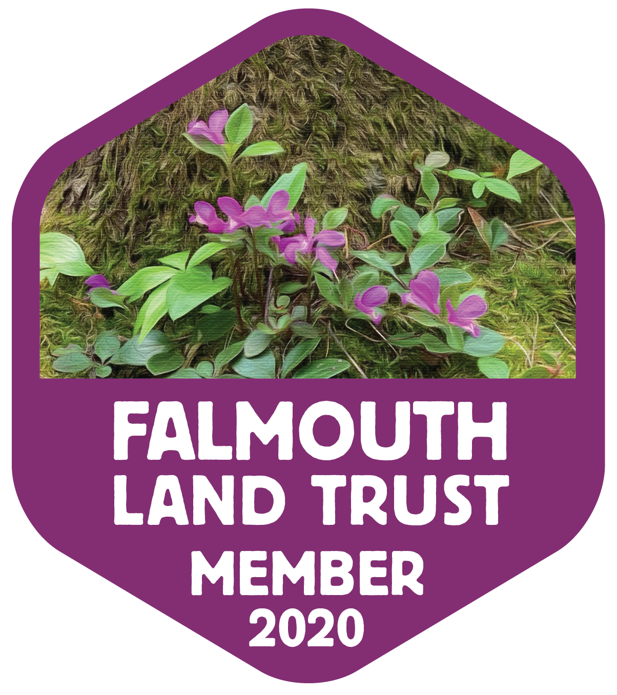 Falmouth Land Trust 2020 member sticker.png