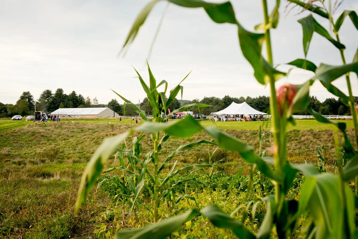 Barn Fest @ Hurricane Valley Farm