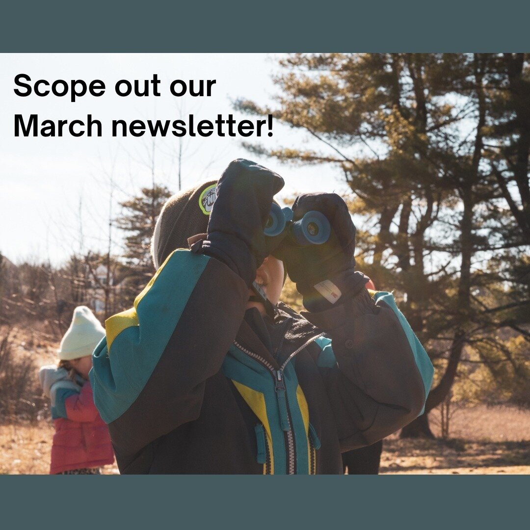 Our March newsletter is out! Follow the link below to read about upcoming volunteer opportunities, barn updates, a fun Forest Playgroup adventure, and more.

https://mailchi.mp/falmouthlandtrust/march-updates

📸 @triciatoms 
#falmouthmaine 

Image d