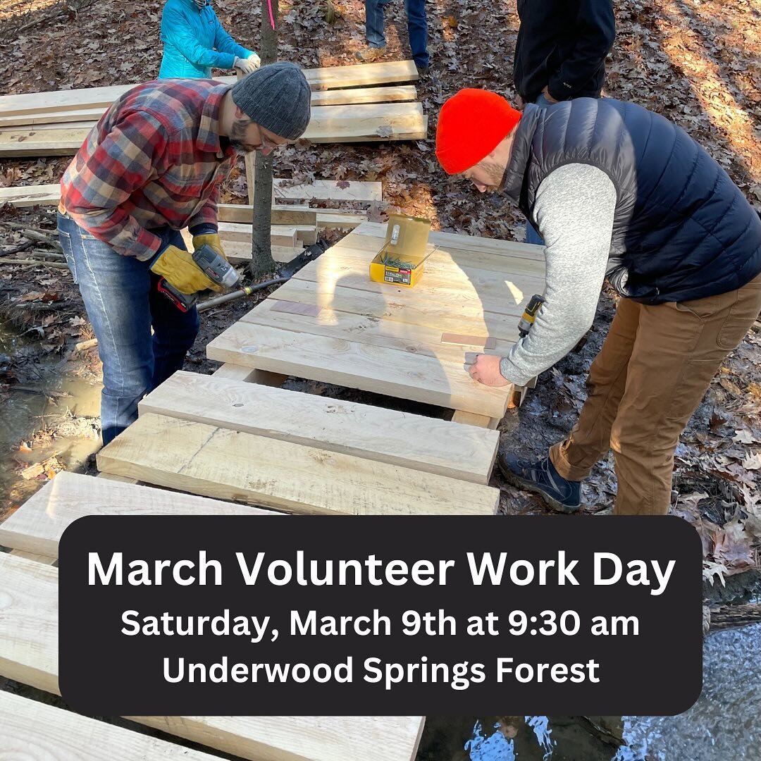 Join FLT for a volunteer work day this Saturday at 9:30 am at Underwood Springs Forest! We&rsquo;ll work on blazing a new trail and removing some invasive plants. All tools will be provided. 

Meet at the trailhead in the corner of the first Friends 