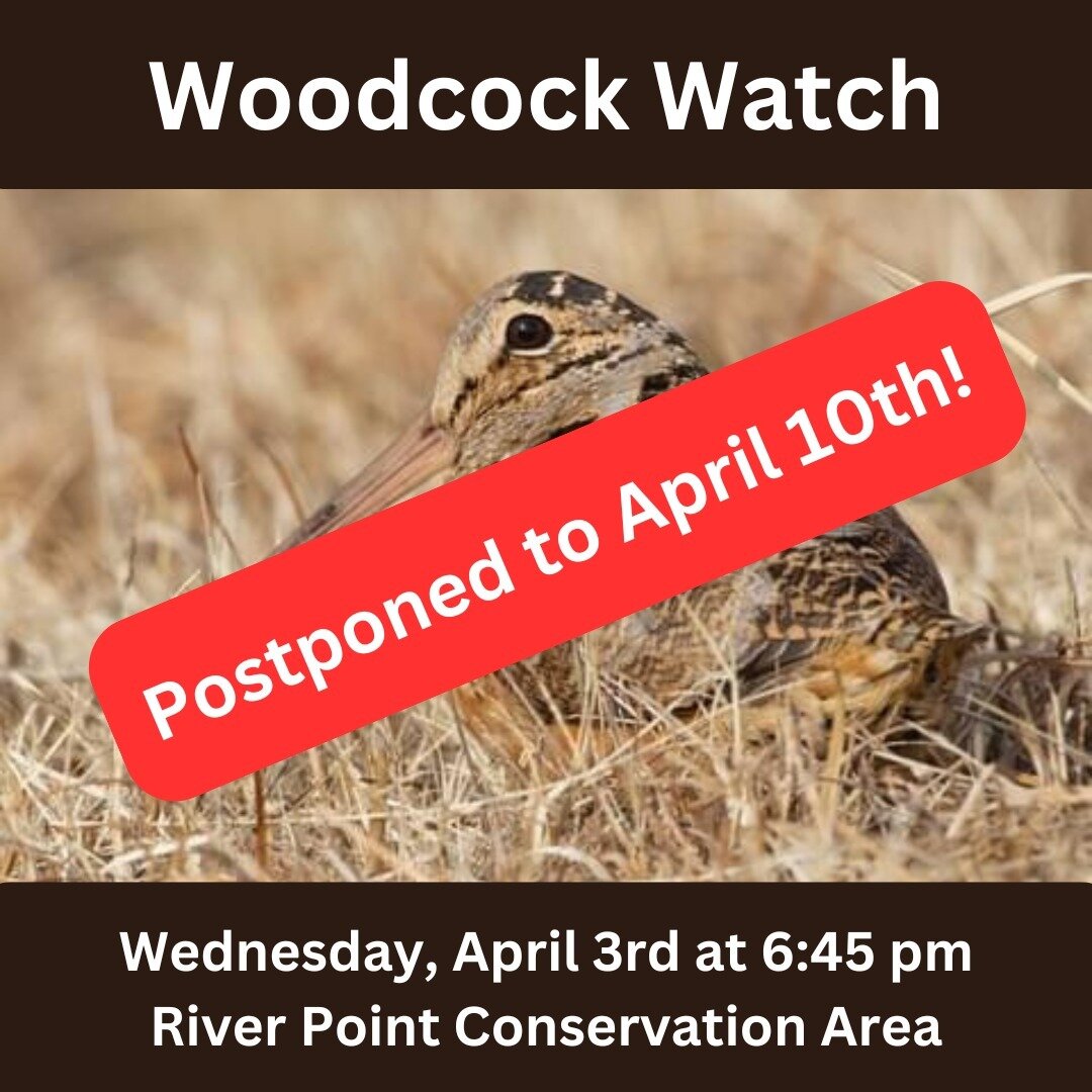 Our woodcock watch event has been postponed to Wednesday, April 10th because of the coming storm.

We will meet at River Point Conservation Area at 6:45 pm on the 10th. Park in the Falmouth Hannaford parking lot (63 Gray Road, Falmouth) and meet on t