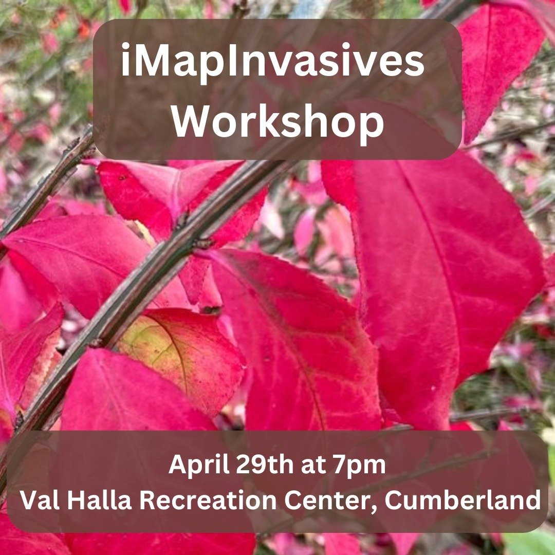 Our friends in Cumberland are hosting a workshop on how to use iMapInvasives on Monday, April 29th at 7pm at the Val Halla Recreation Center. Chad Hammer, Invasive Plant Biologist with the Maine Natural Areas Program, will lead this workshop.

iMapIn