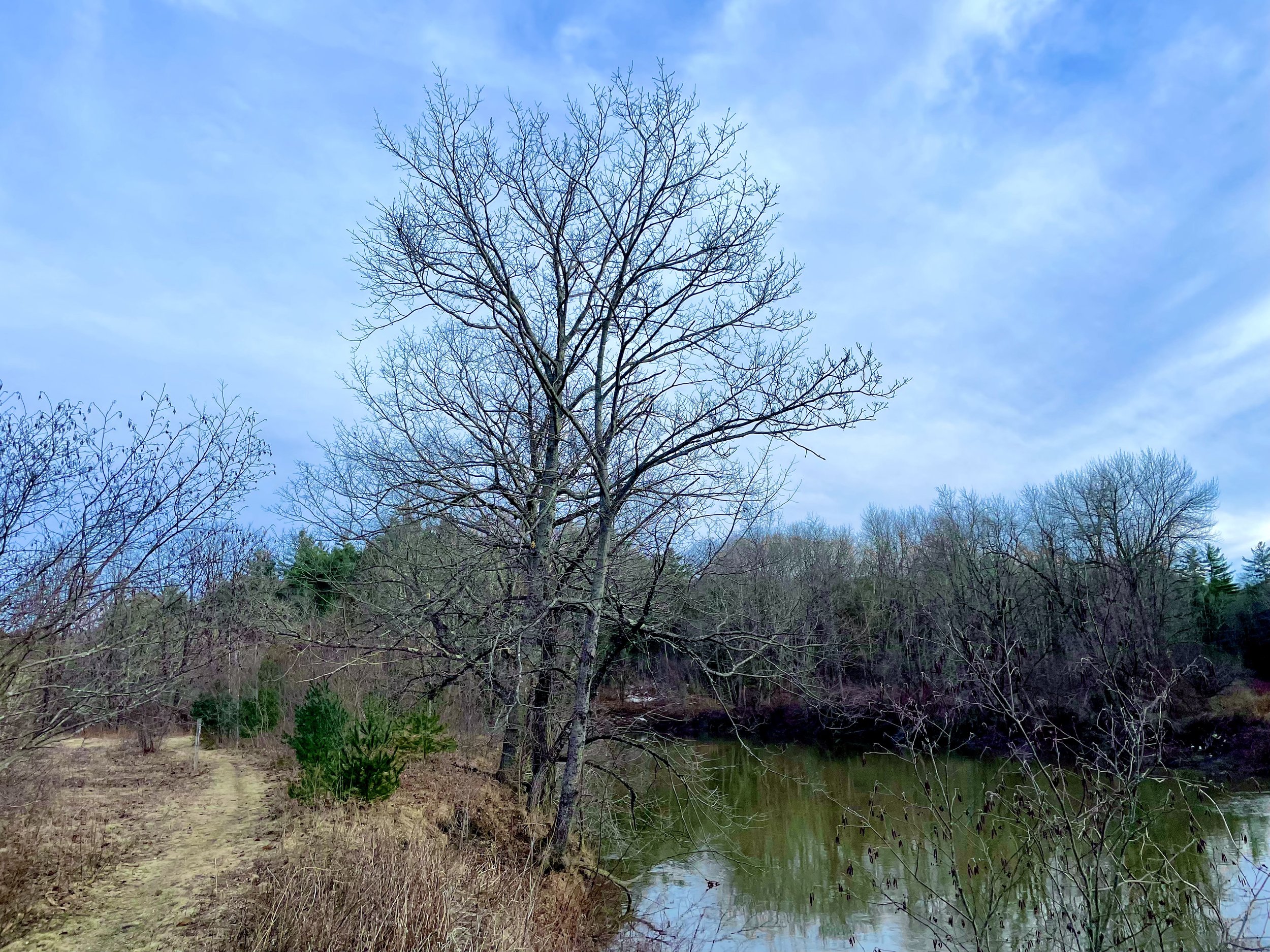 Friday Walk Series with Falmouth Memorial Library @ River Point