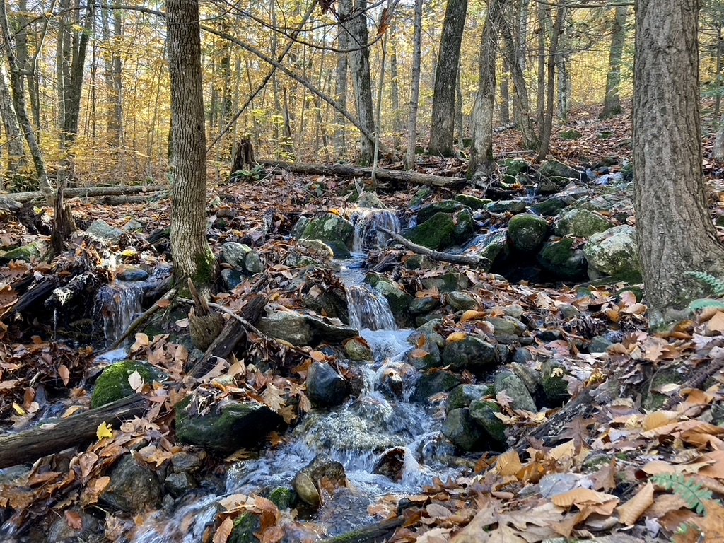 Guided Hike with AMC @ Blackstrap Hill Preserve